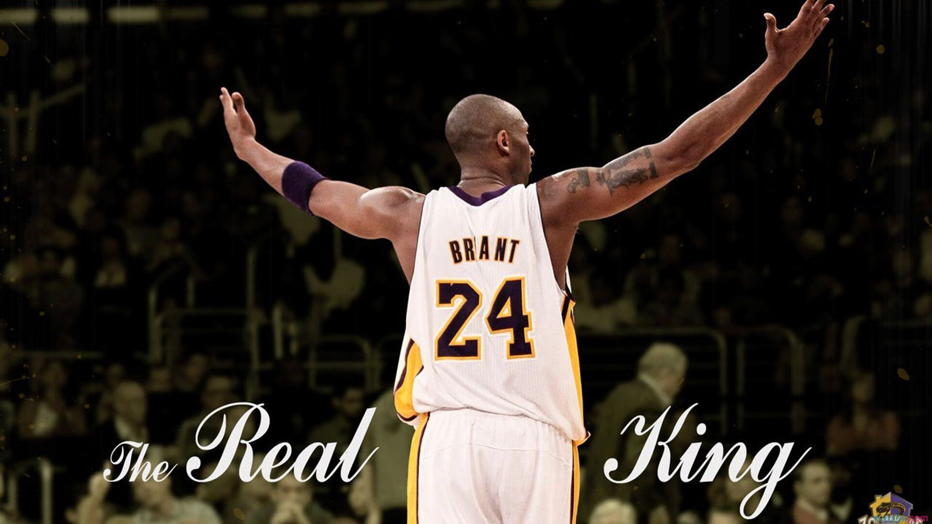 短蛙赛场上的“中国速度”——覃海洋