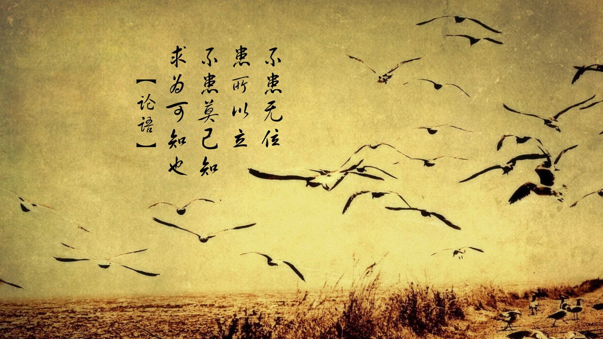 开云官网-“法甲冠军争夺激烈，悬念久久难以揭晓”，法甲冠军次数排名最新